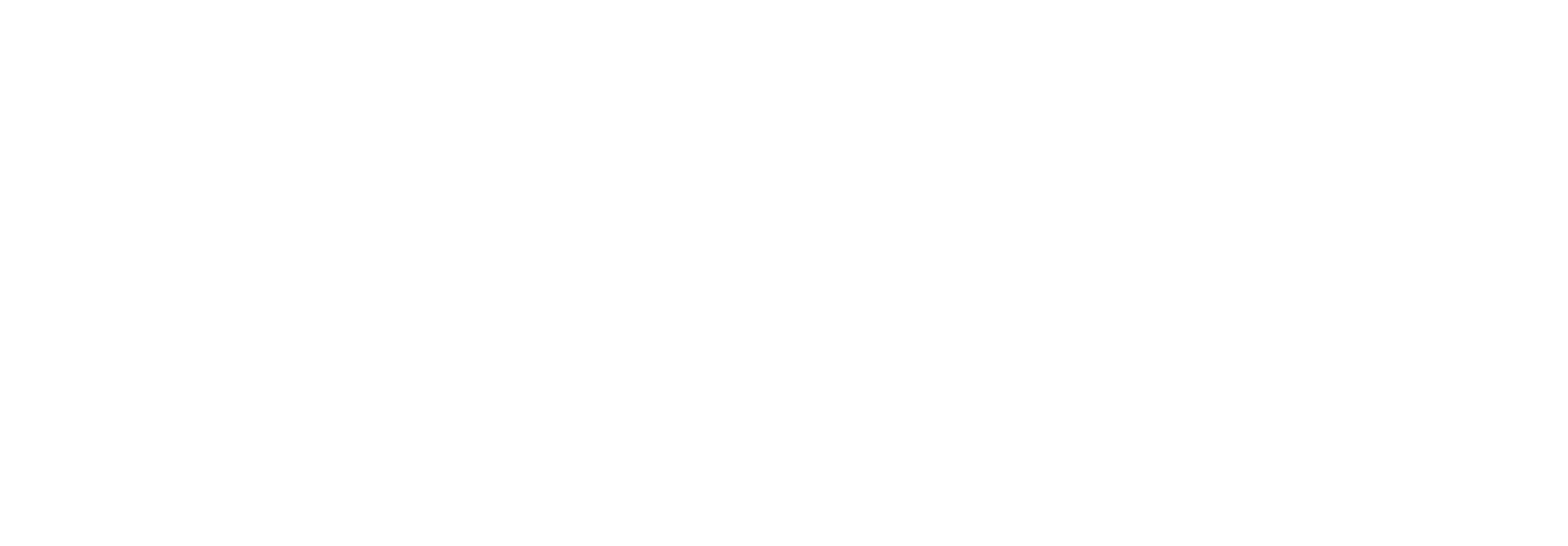 Instituto Neuro Vínculo